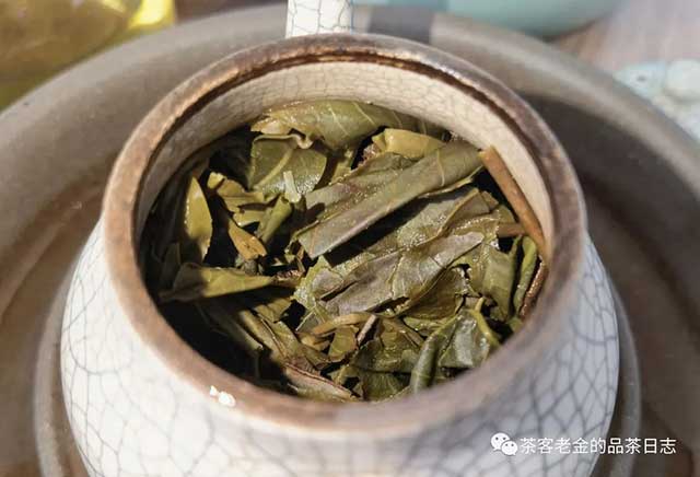 吾茶共饮2022年子归普洱茶