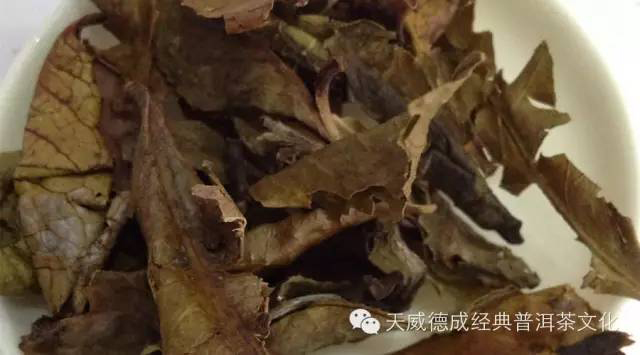 天威德成黄片普洱茶