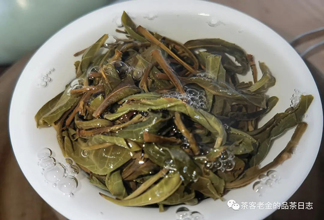 吾茶共饮2022年弯弓河高杆普洱茶