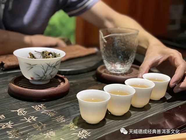 老班章茶山行