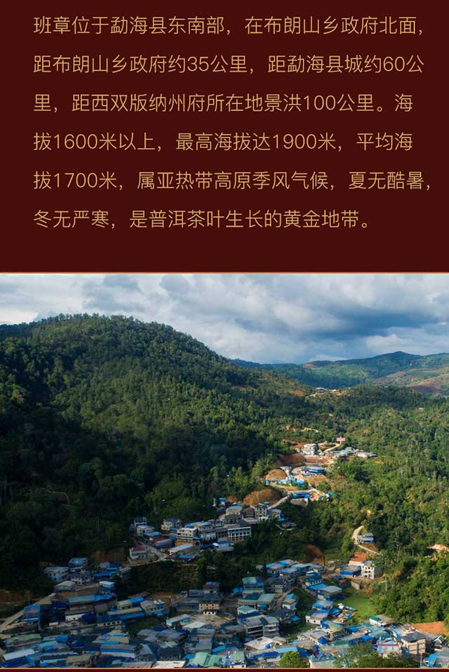 八角亭2021升级版大班章普洱茶