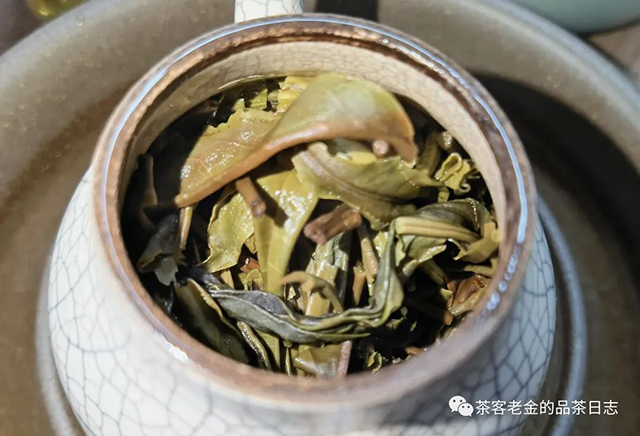 萧关茶事2021年老挝高杆单株普洱茶