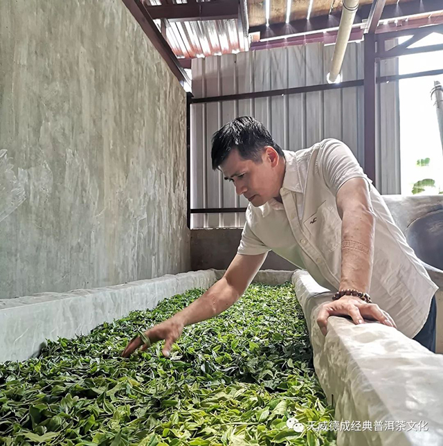 石昆牧普洱茶大事记