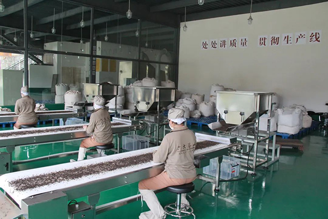 六大茶山10大名品