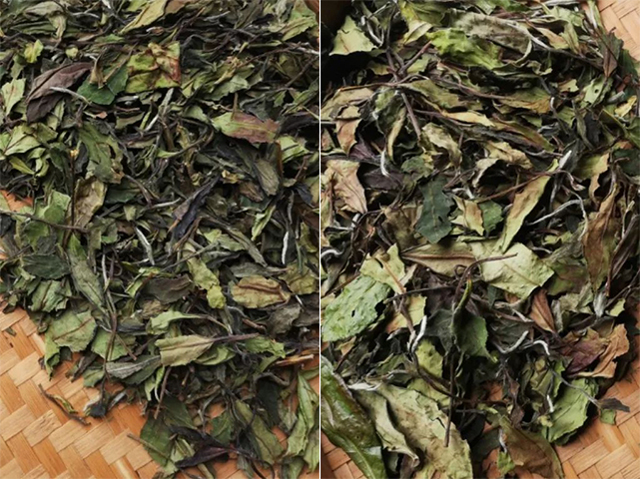 云根茶业