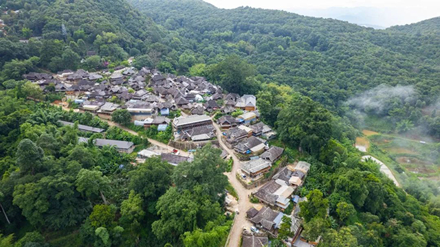 八角亭景迈山古树有机茶普洱茶