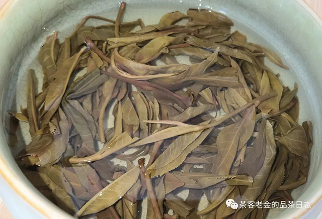 困鹿山制茶人2022年铜箐河选树拼配普洱茶