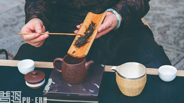 普洱茶冲泡知识