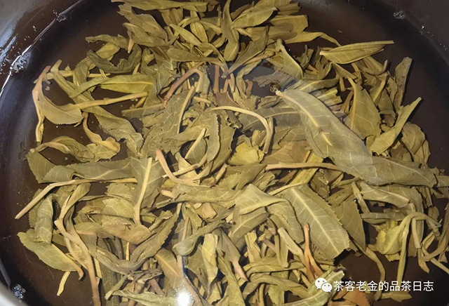 栩月古茶2022年铜箐河一类树普洱茶