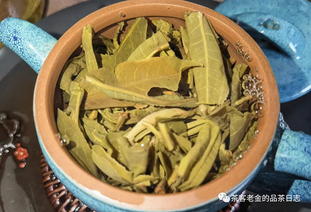 栩月古茶2022年铜箐河一类树普洱茶