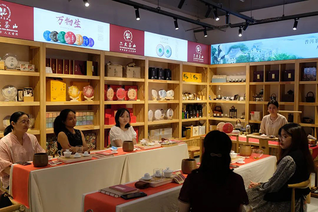 六大茶山2022年度新品全国巡回品鉴会