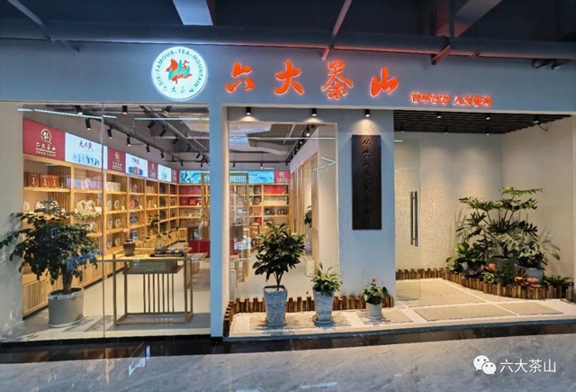 六大茶山2022年度新品全国巡回品鉴会