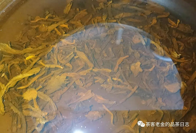 栩月古茶2019年曼糯熟茶普洱茶