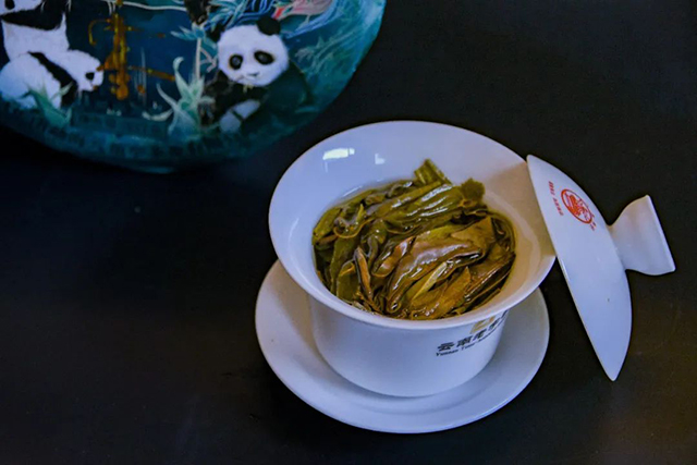 八角亭天翊刮风寨普洱茶