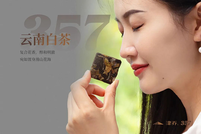 津乔普洱叁伍柒
