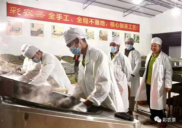 彩农茶2022秋勐海小饼普洱茶