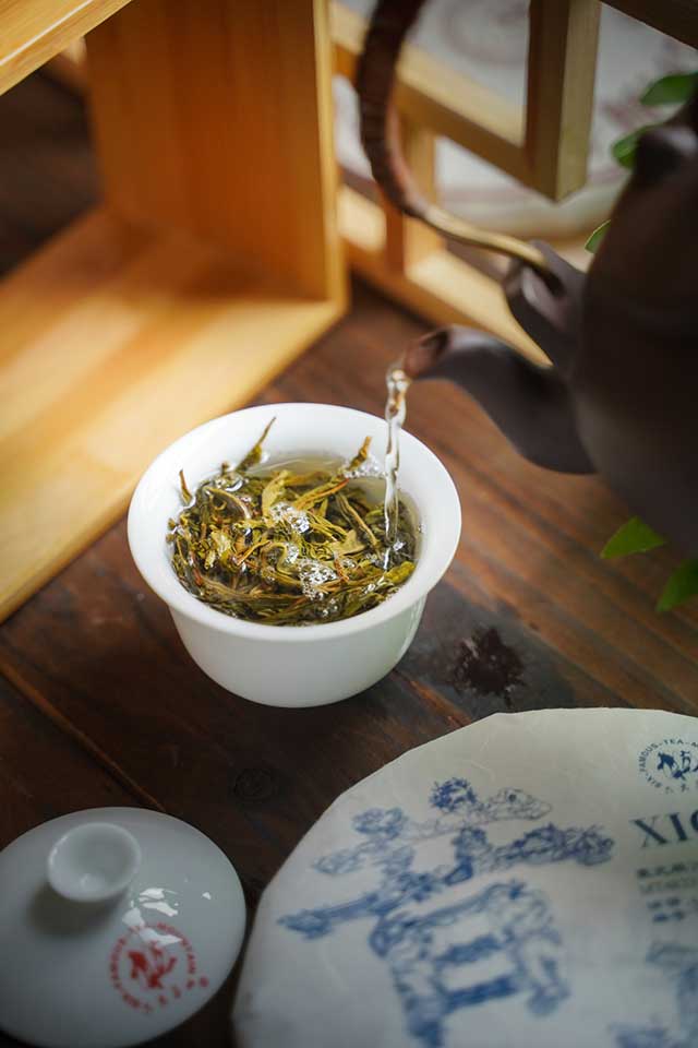 六大茶山昔归普洱茶