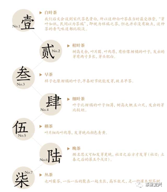 茶科技唐煮宋点