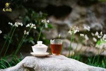 茶瘾，是喝茶的境界，是对生活的态度