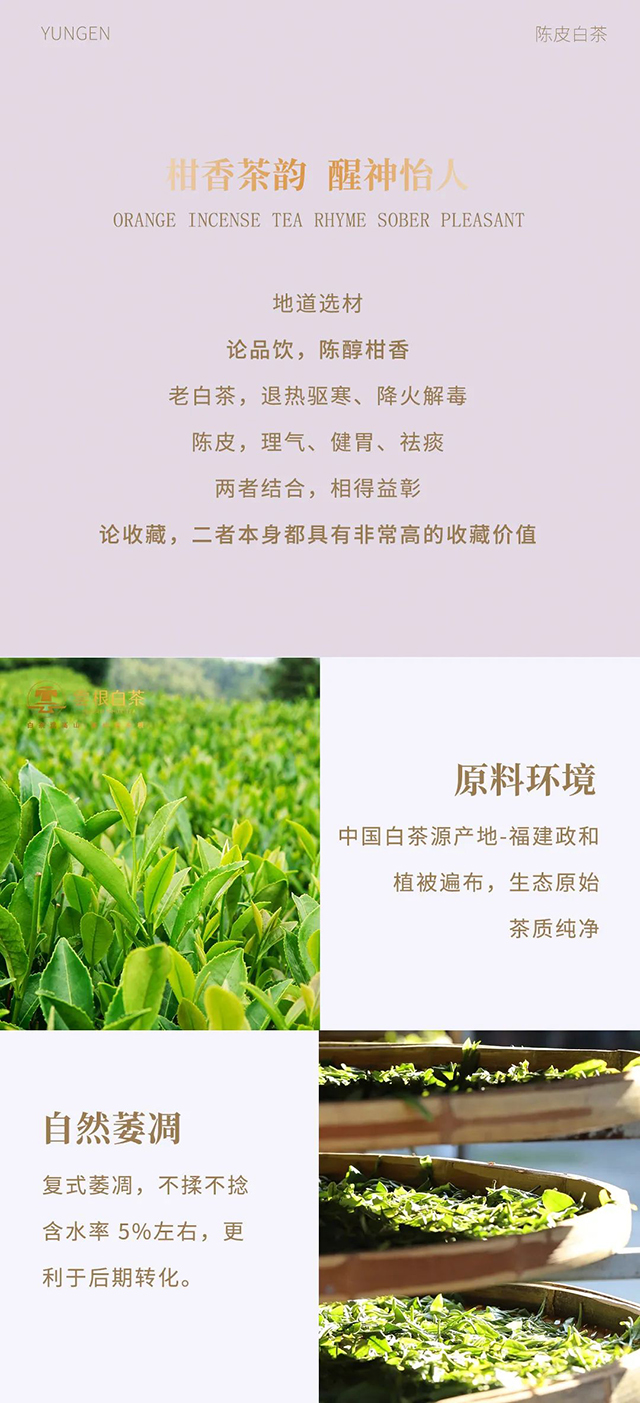 云根茶业云根白茶陈皮白茶