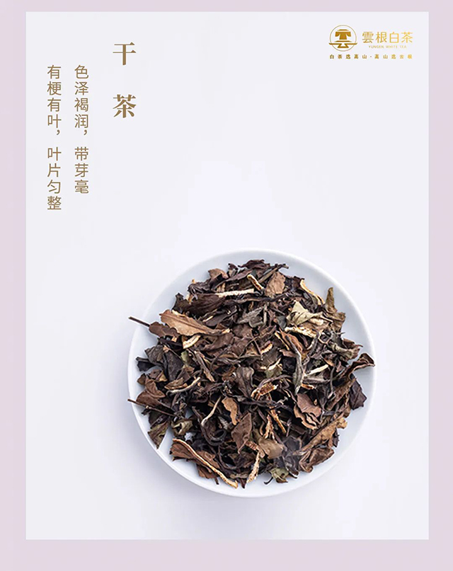 云根茶业云根白茶陈皮白茶