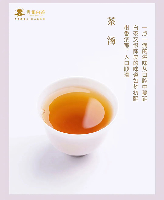 云根茶业云根白茶陈皮白茶