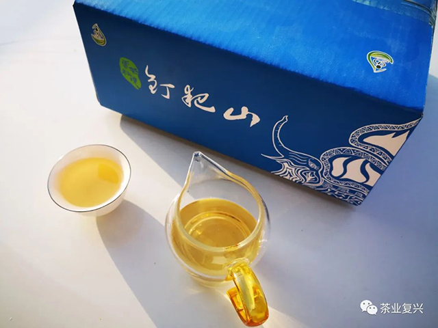 钉耙山普洱茶