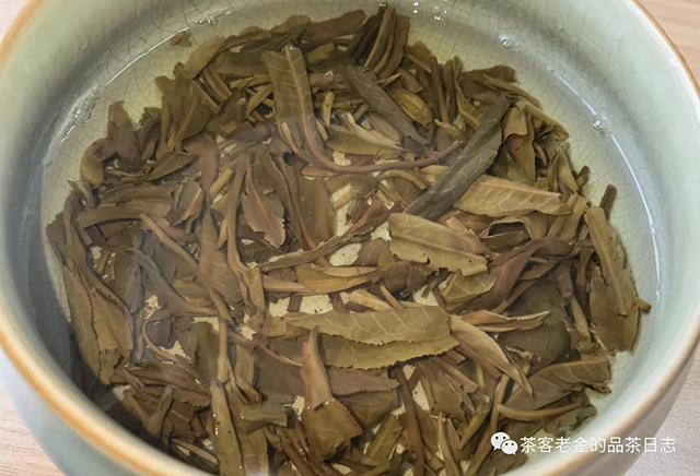 石一龙2022年明月藏鹭之九九虎啸普洱茶