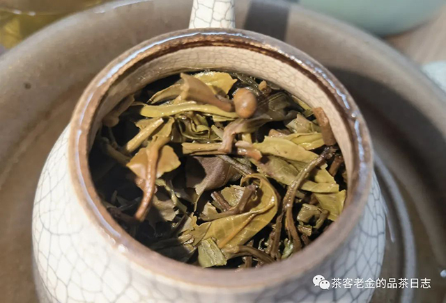 石一龙2022年明月藏鹭之九九虎啸普洱茶