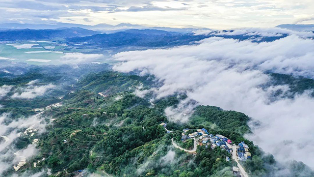 六大茶山三境秘境禅境意境普洱茶