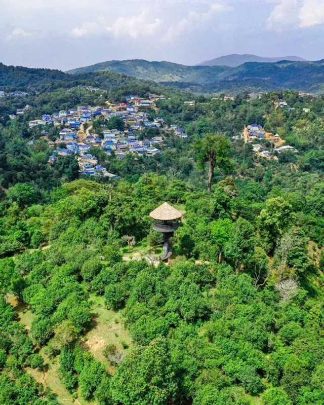 六大茶山三境秘境禅境意境普洱茶