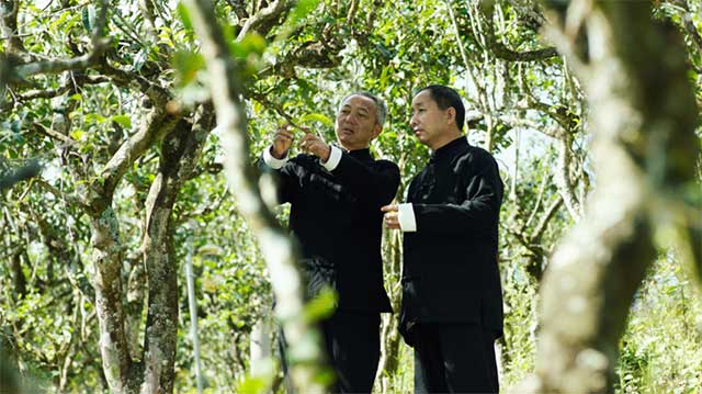 中国茶礼