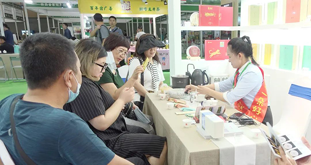 云根沈阳茶博会