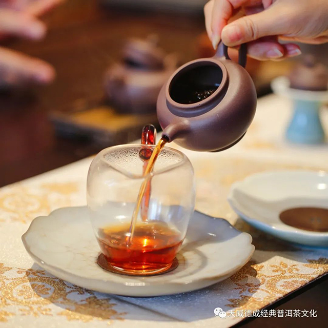 天威德成茶会2022年云集熟茶尝新茶会