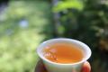 暖暖说茶：关于个人存茶，需要具备的几个条件
