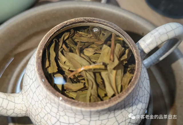 广东茶友2018年多依树秋普洱茶