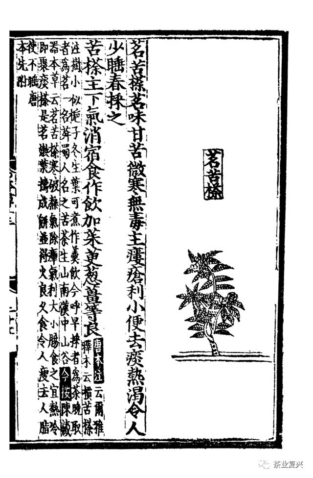 李阳泉中国茶文献集成