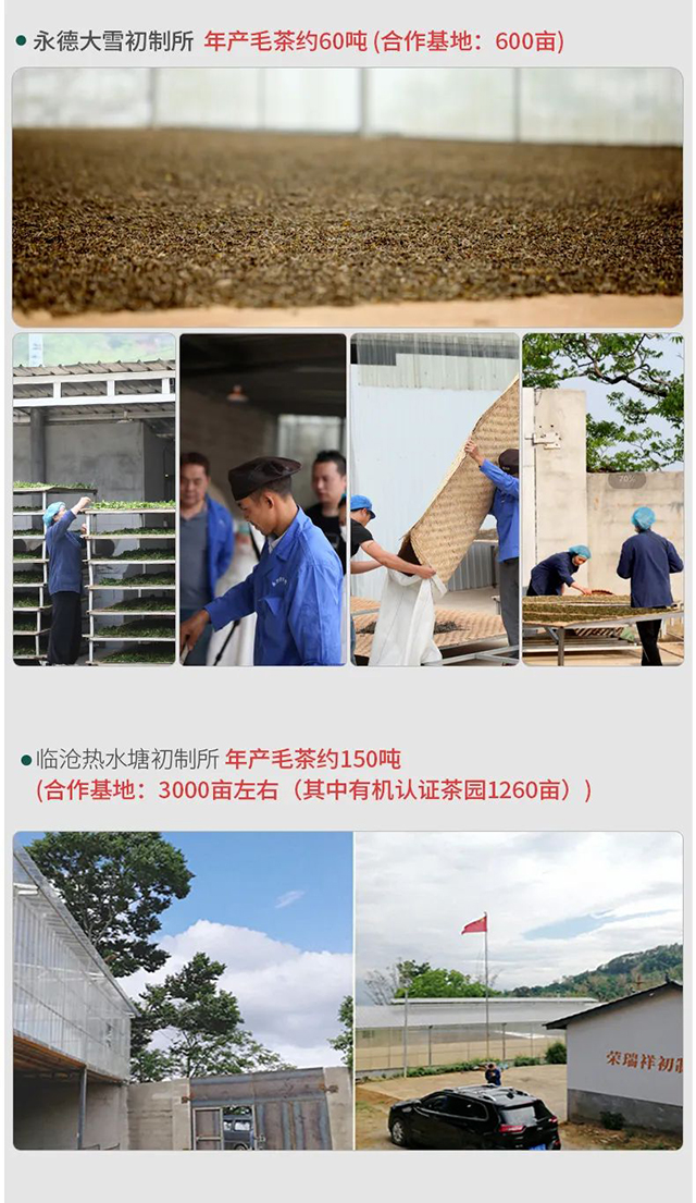 荣瑞祥永德荣字号茶厂
