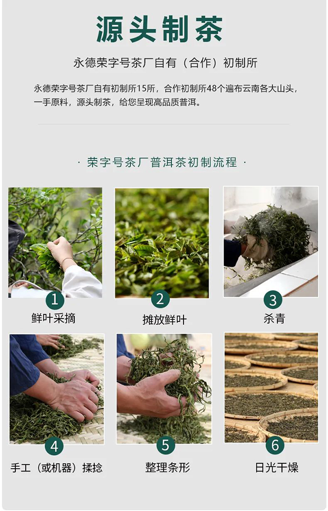 荣瑞祥永德荣字号茶厂