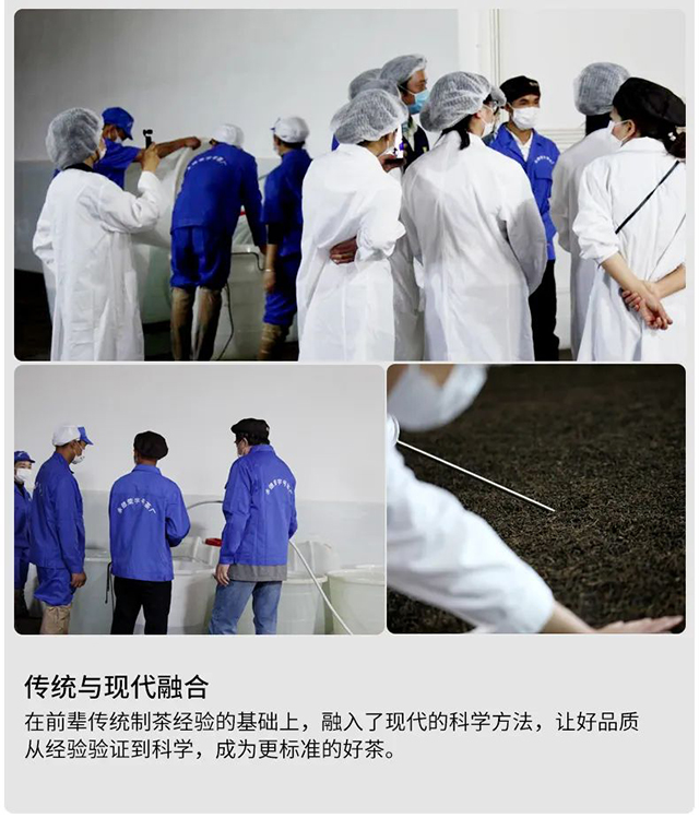 荣瑞祥永德荣字号茶厂