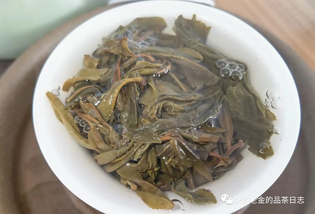 栩月古茶2022年未命名茶地普洱茶