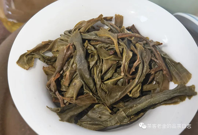栩月古茶2022年未命名茶地普洱茶