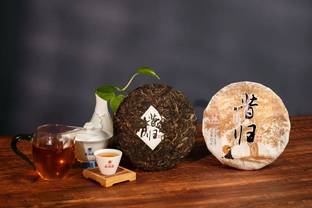 龙润茶2022昔归普洱茶