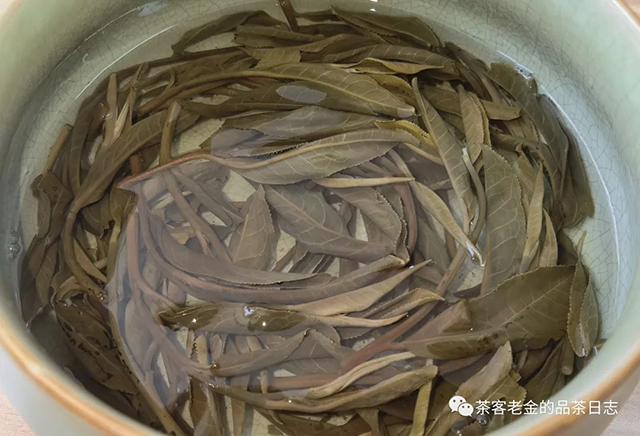 困鹿山制茶人2022年紫茶单株普洱茶