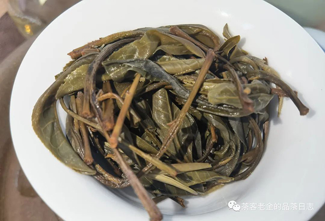 困鹿山制茶人2022年紫茶单株普洱茶