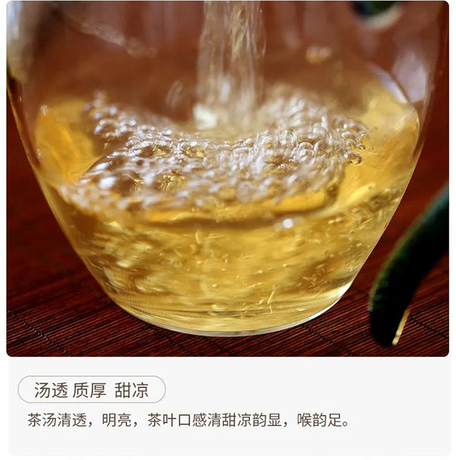 荣瑞祥春秋大叶2022年梅子箐锅底塘古树茶