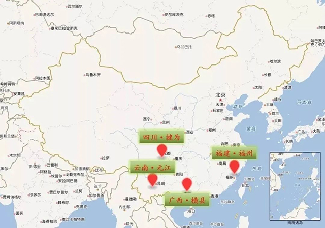 我国茉莉花四大主产区中国茶叶流通协会