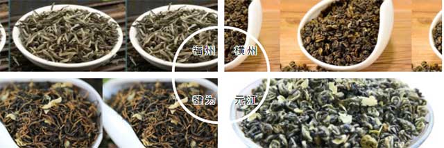 四大产区茉莉花