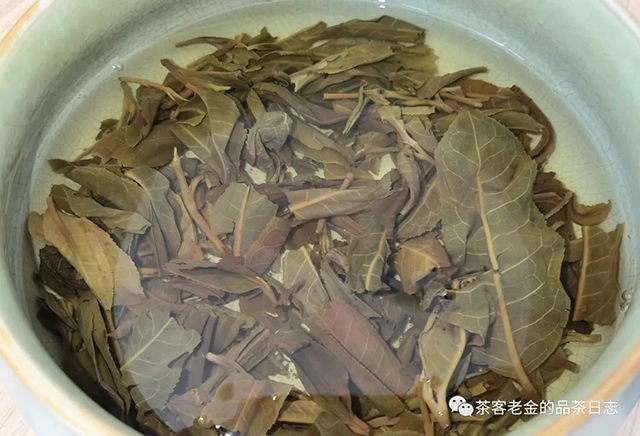 孙德忠神农脚气水普洱茶