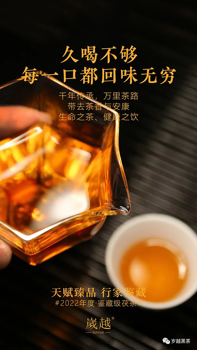 岁越黑茶2022九龙池茯茶